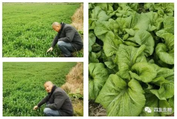 三春好时节，躬耕事乡土